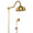 CHUVEIRO COM DESVIADOR DOURADO ST CLAIRE