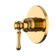 ACABAMENTO MONOCOMANDO CHUVEIRO CLÁSSICO DOURADO NANOTECNOLOGIA