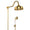 CHUVEIRO COM DESVIADOR DOURADO NANOTECNOLOGIA ST CLAIRE