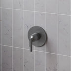 ACABAMENTO MONOCOMANDO DE CHUVEIRO ARIA GRAFITE ESCOVADO