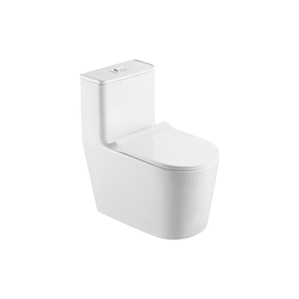 BACIA SANITÁRIA MONOBLOCO RIVA BRANCA